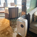 Eolis Air Manager 1200S